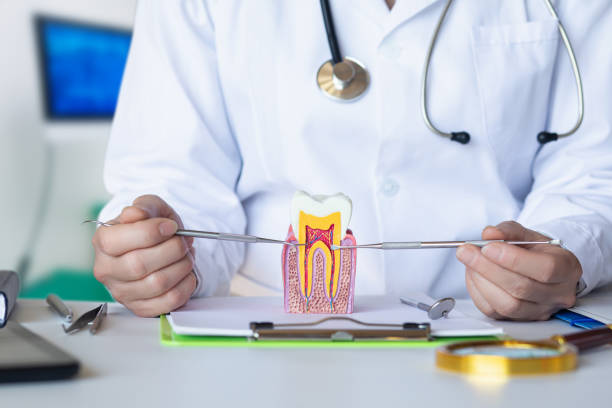 Best Orthodontic Emergency Dentist in Hasley Nyon, CA